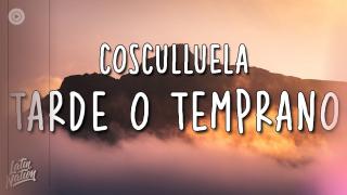 Cosculluela - Tarde o Temprano (Lyrics/Letra) - YouTube